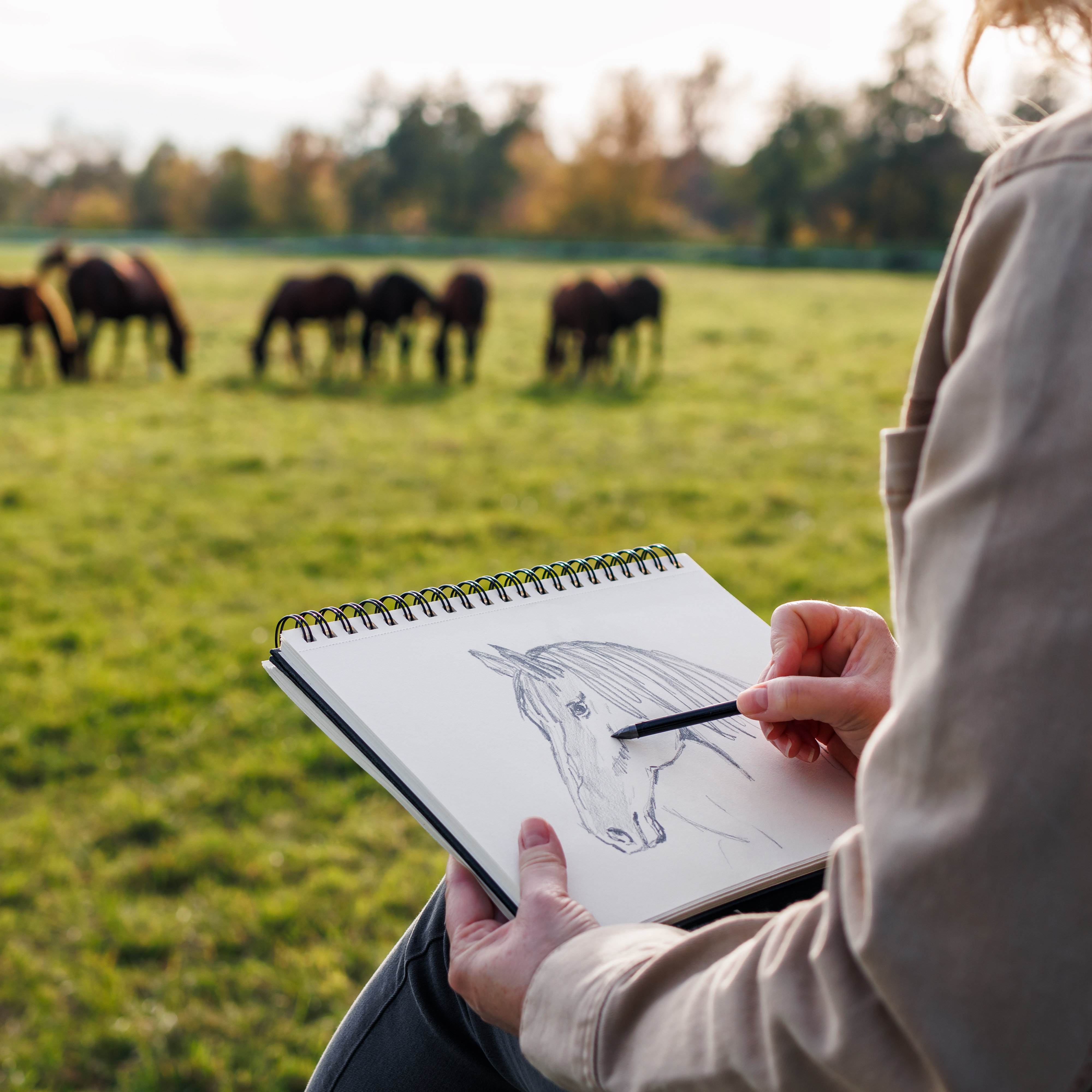Paint in the Park: An Equine Art Experience: Saturday, October 17, 2026, 1:00–3:00 PM - logo